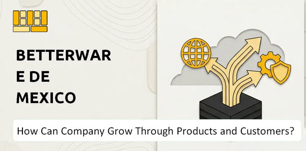 How Can Betterware de Mexico Company Grow Through Products and Customers?