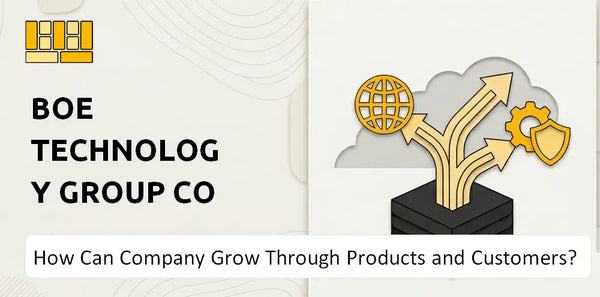 How Can BOE Technology Group Co Company Grow Through Products and Customers?