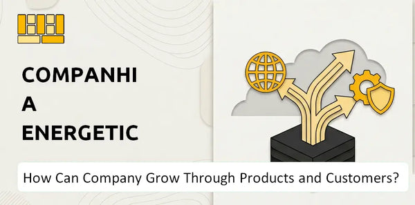 How Can Companhia Energetica de Minas Gerais Company Grow Through Products and Customers?