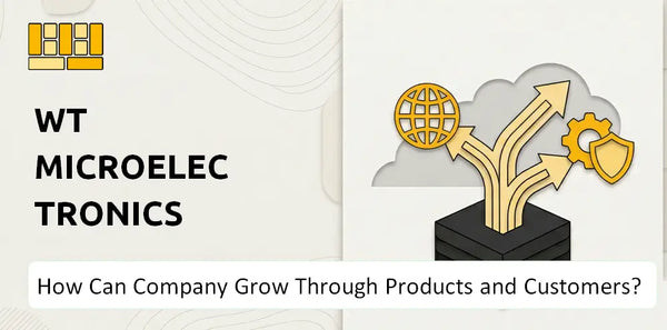 How Can WT Microelectronics Company Grow Through Products and Customers?