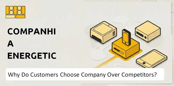 Why Do Customers Choose Companhia Energetica de Minas Gerais Company Over Competitors?
