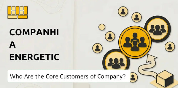 Who Are the Core Customers of Companhia Energetica de Minas Gerais Company?