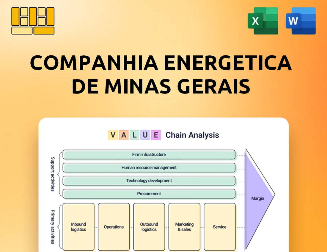Companhia Energetica de Minas Gerais Value Chain Analysis