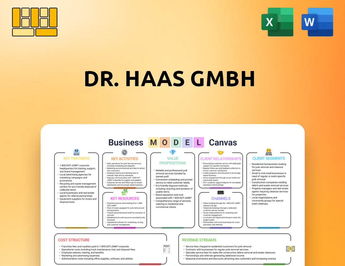 Dr. Haas GmbH Business Model Canvas