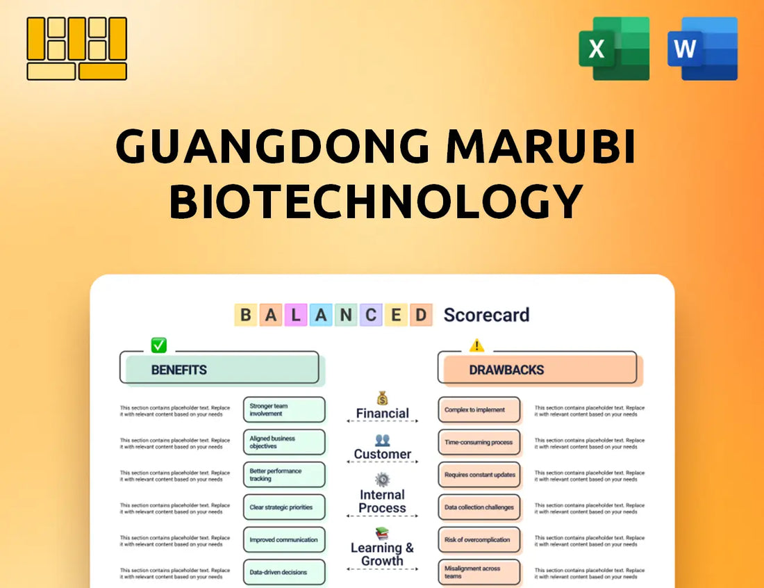 Guangdong Marubi Biotechnology Balanced Scorecard
