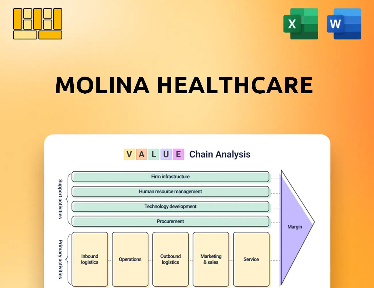 Molina Healthcare Value Chain Analysis