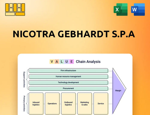 Nicotra Gebhardt S.p.A Value Chain Analysis